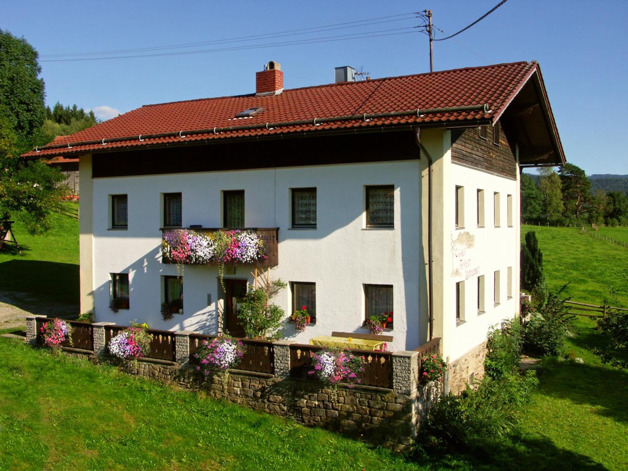 Ferienwohnungen Am Arber Lohberg Exterior foto